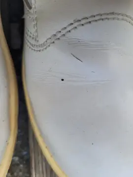 chaussures de protection