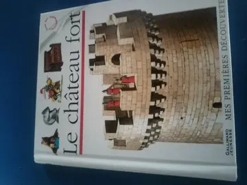 le château fort