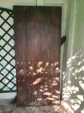 table en chêne