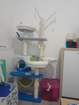 Arbre à chat
