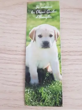 Marque page chien