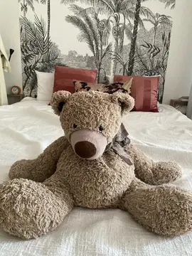 ourson peluche