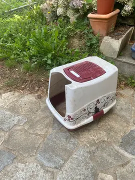litière chat