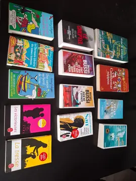 Lot de 13 livres