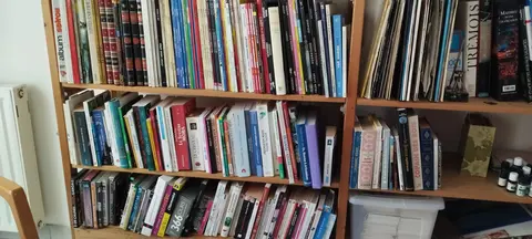 Lot de livres et BD