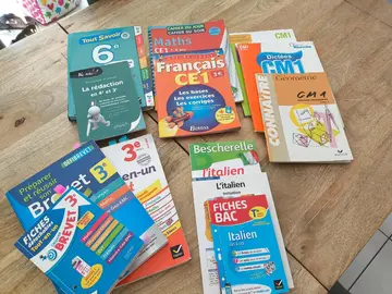 livre de révision tout niveau scolaire