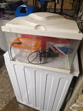 petit aquarium