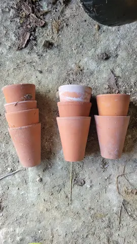 9 pots à muguet