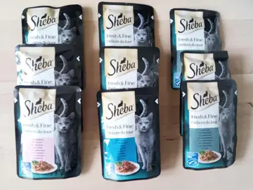 Sheba Délices du jour pour chat 🐱