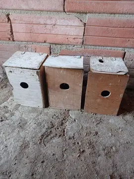 nichoirs à oiseaux