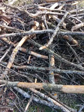 Bois sec pour cheminée