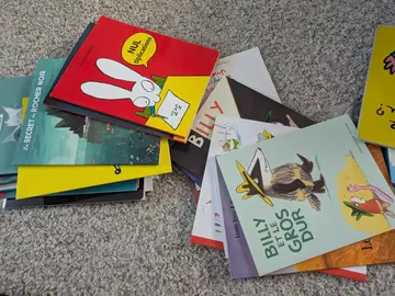 gros lot de livres