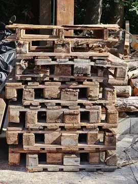 Palettes Bois