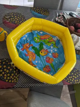 petite piscine gonflable