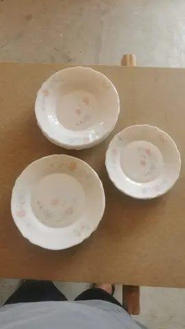 assiettes en arcopal