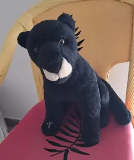 peluche