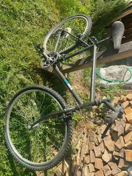 VTT