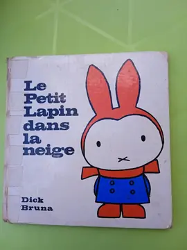 livre le petit lapin dans la neige