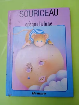 Livre souriceau croque la lune