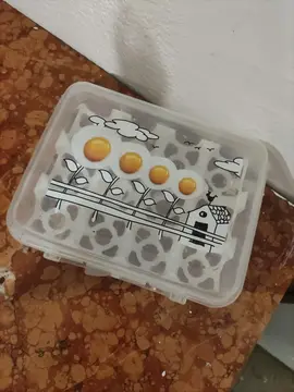 boite à oeufs.