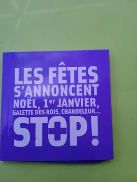 petit livre recettes de cuisine pour les fêtes