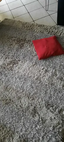 tapis