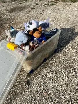 Peluches
