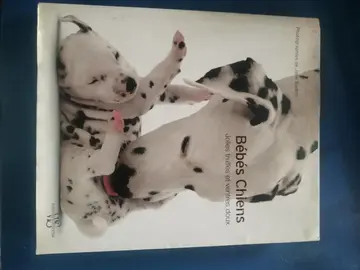 bébés chiens