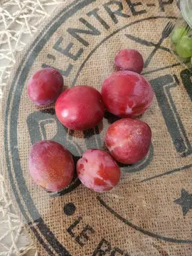prune fraiche du jardin