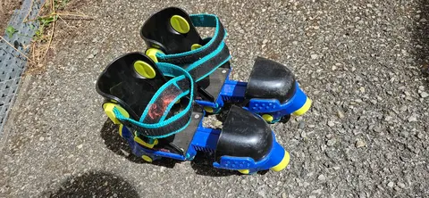 roller fisher