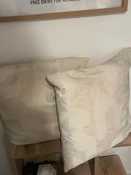 Lot de deux coussins beige