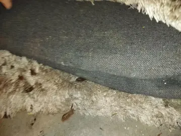 grand tapis à laver