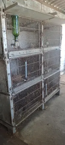 6 cages à lapin