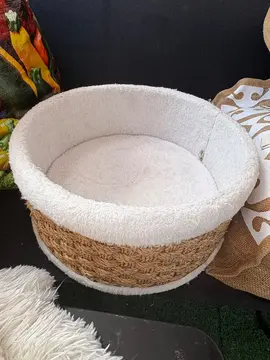 panier chaton
