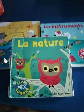 livre audio