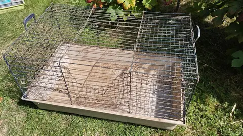 grande cage
