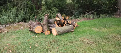 Bois de chauffage