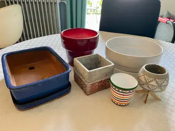 Lot de caches-pots