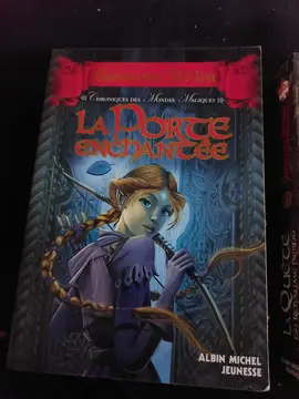 2 tomes de Geronimo Stilton( Alvin Michel Jeunesse)/ "La porte enchantée " et " la quête du royaume