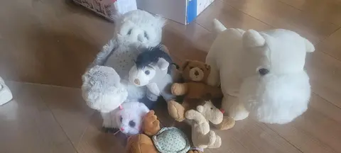 Cause déménagement nous donnons un lot de peluches