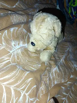 peluche