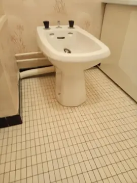 bidet