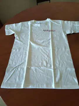 t-shirt garçon BGC 12/14 ans... neuf