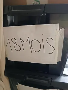 vêtements 18 mois fille