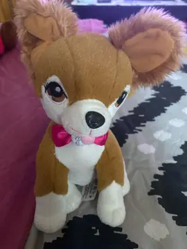 peluche chien