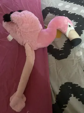 peluche