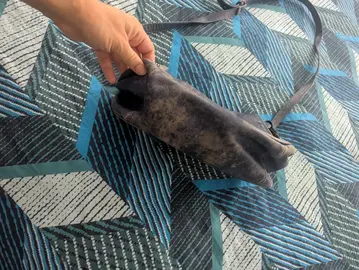 sac a main sabrina