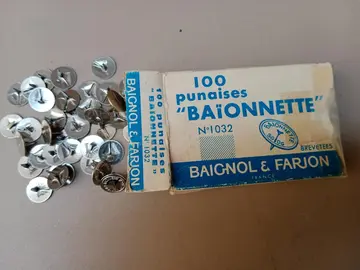 Punaises baïonnette