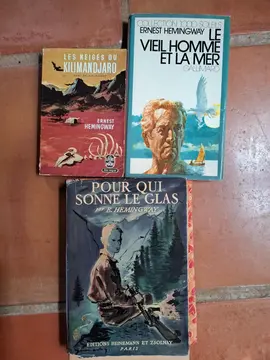 lot livres E Hemingway