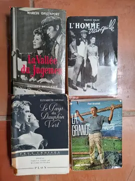 lot de livres thème films